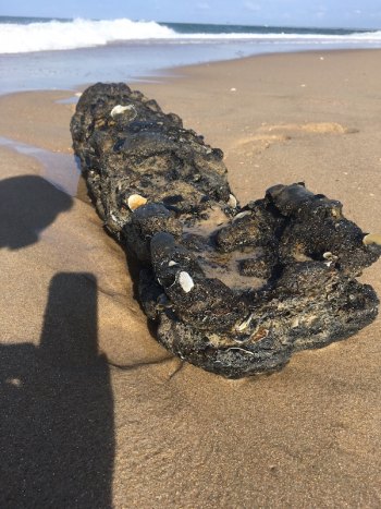 Beach Re-Opened After Ordnance Removed